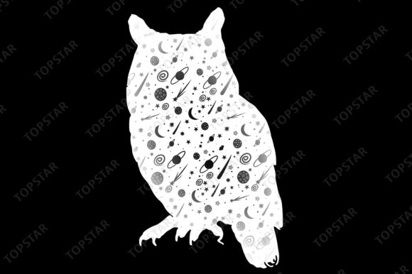 Image of a celestial owl