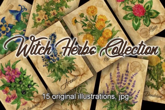 Image of magic herbs